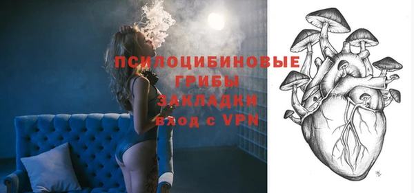 прущий лед Богородск