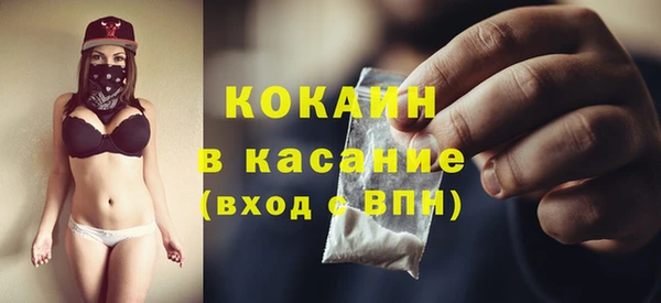 мдпв Богданович