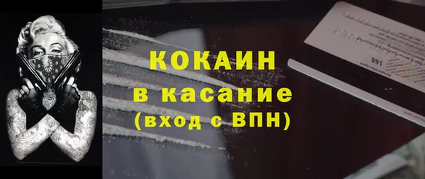 мдпв Богданович