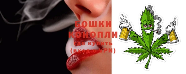 мдпв Богданович