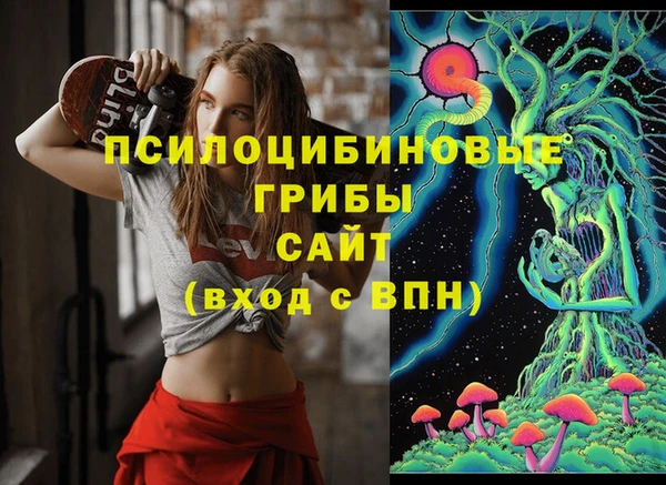 прущий лед Богородск