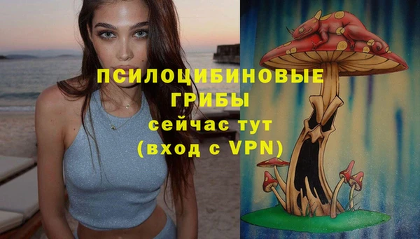 прущий лед Богородск
