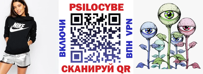 Галлюциногенные грибы Cubensis  Купить где  Буинск 
